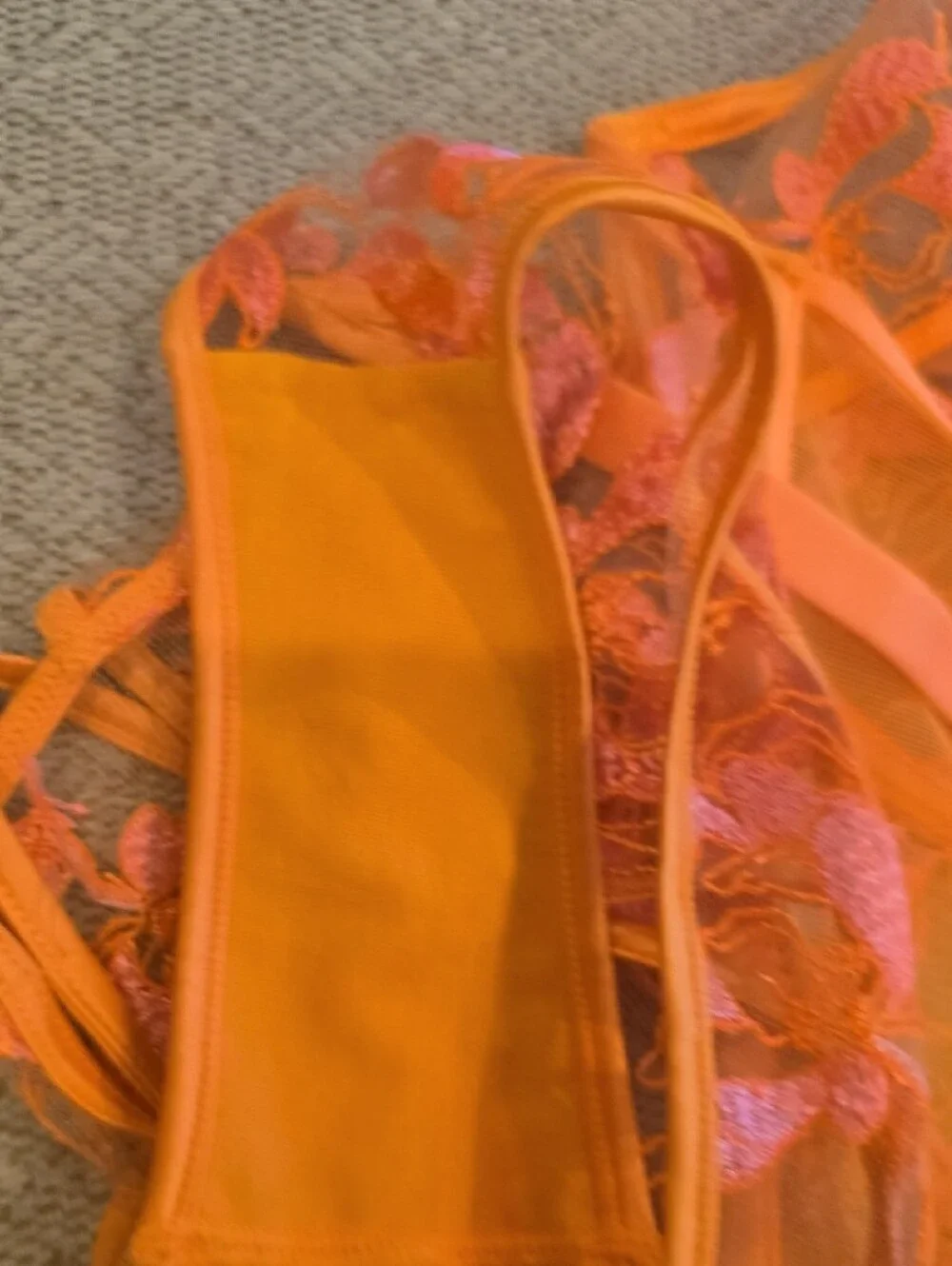 Honey Birdette Orange Sheer Bustier & Bikini Set with Pink Floral Embroidery